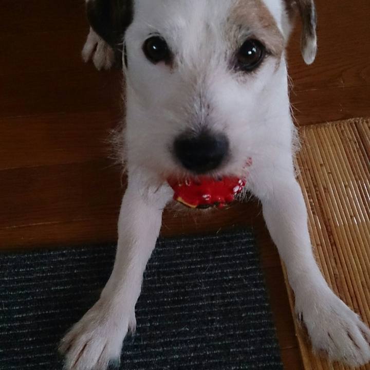 A72498f3 a06e 4f66 8830 81fa5dabc05d