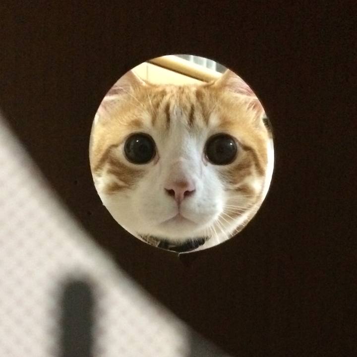 A7249ef6 bad5 49a1 b576 865a22891378