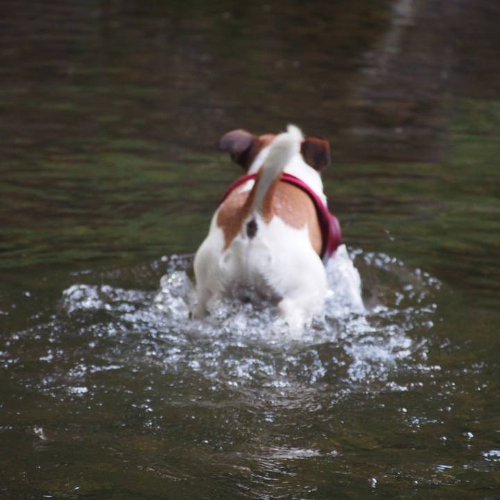 A7252219 8bc3 43fd 9d55 df91f5420500