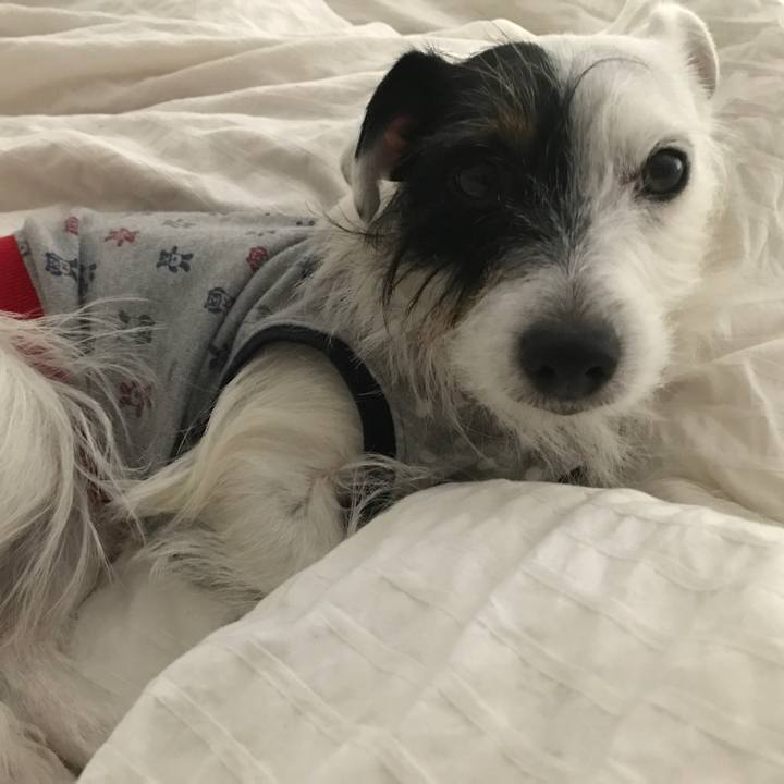 A72592ba 2568 4983 a253 f4686dae30ce