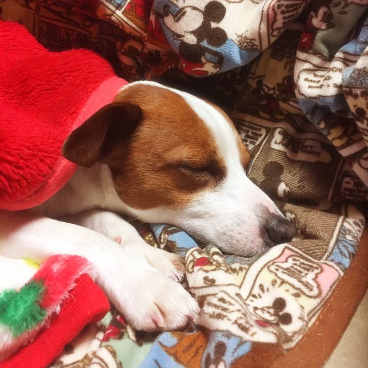 A725b409 8b68 4c6a 8c1c aaa378a4121e