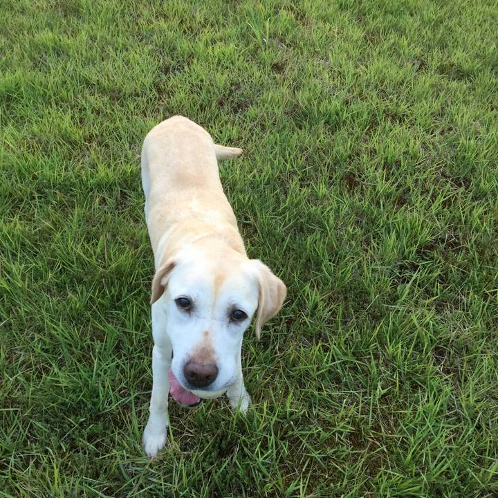 A726d2f3 f2a9 437d b3ec 58930eb0d9c3