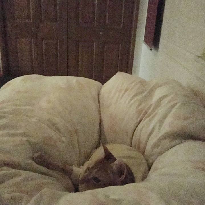 A7283c36 c080 4267 a8be 9acb5453a36c