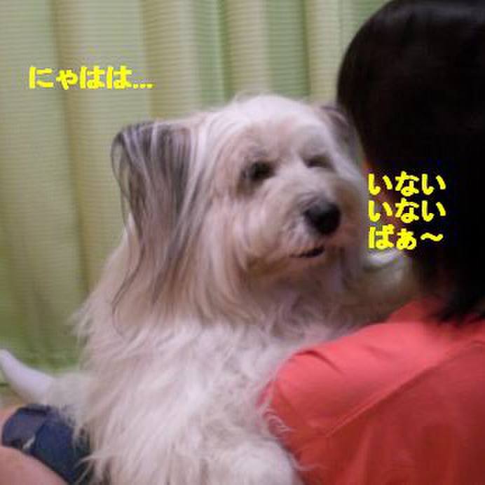 A72845b4 75b5 48ee bab3 0a32a5bf2b66