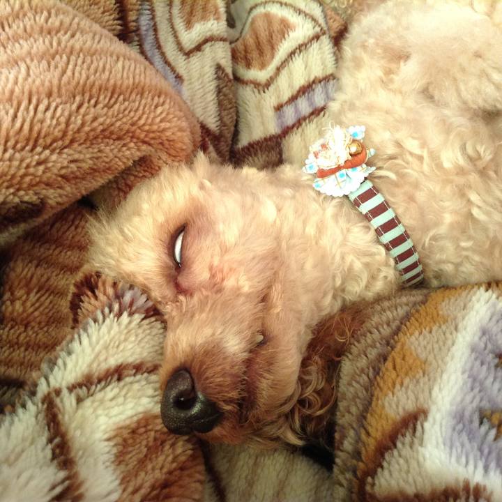 A7293b1e 2ca7 4fc9 b270 36f2f27439dd