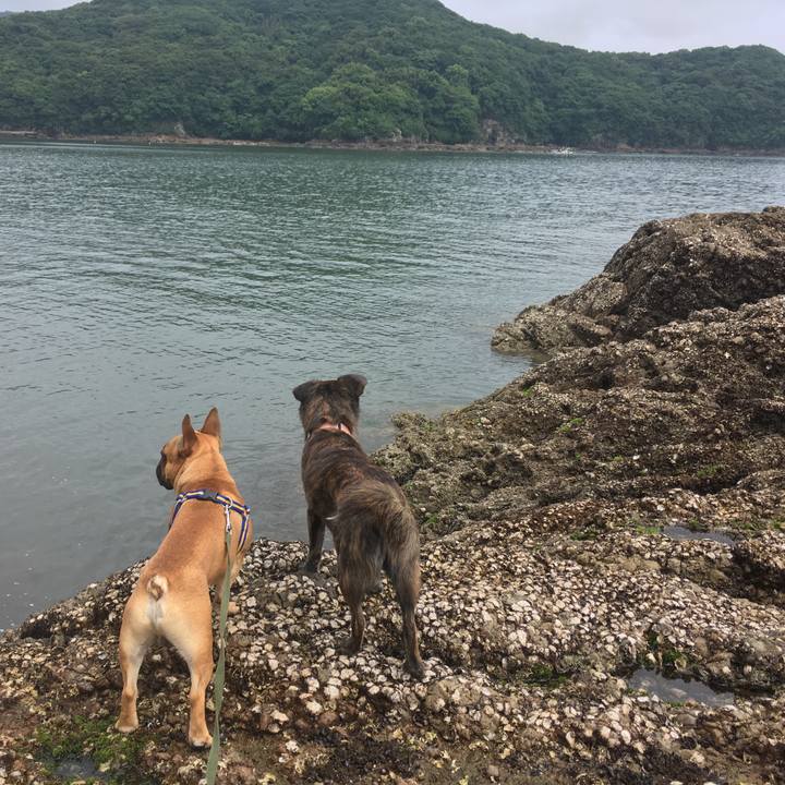 A72995fd 0552 4fb2 80e2 82c03e571bcc