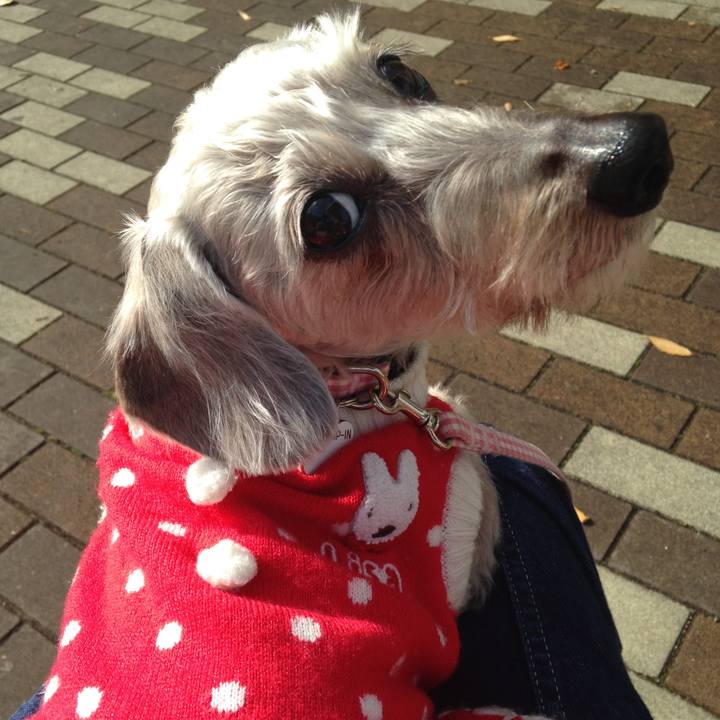 A729c0ac 46df 4cae a53f 2fff872ddadb