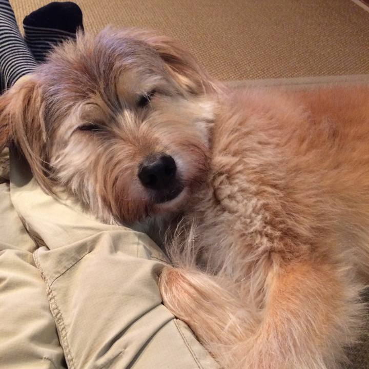 A729e15e 7c23 44c6 98ca 8a17248680db