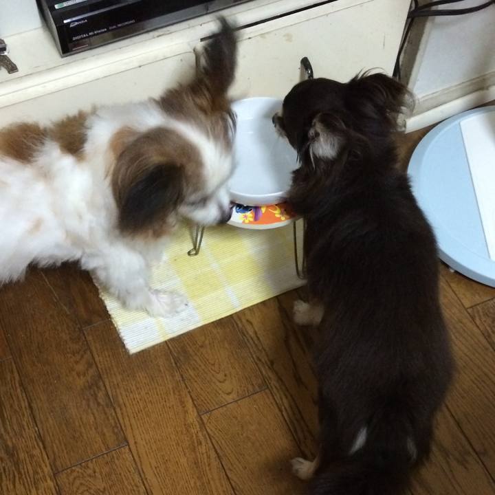 A72a89e8 e774 4045 9f74 31e0aa7b5f72