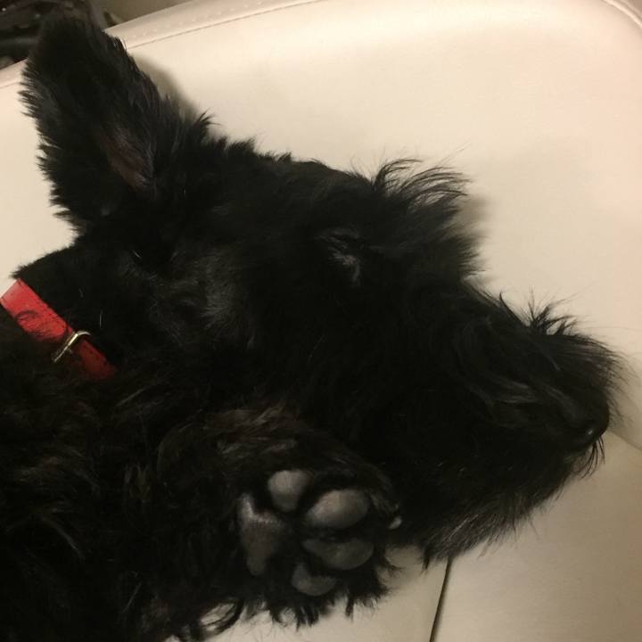 A72ab6de c0ac 4353 aa5e c104fca23eeb