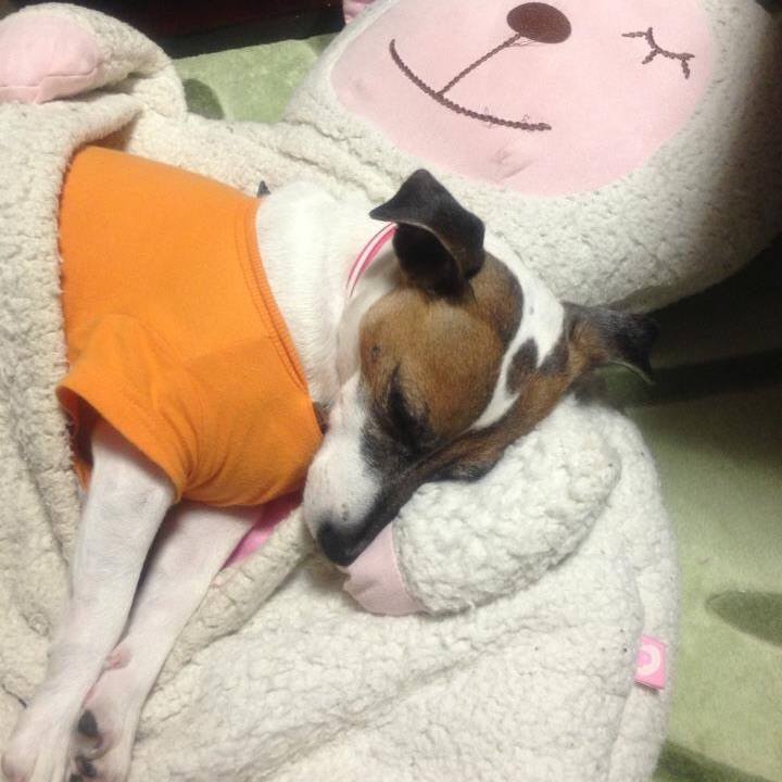 A72b1157 d0f8 49fc b758 6d439c09a586