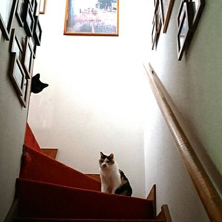 A72b3581 d725 43d3 8c4b 4098129eca5c