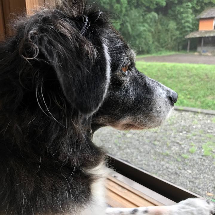 A72b5b32 966d 40be 9e96 e57cdd909c0d