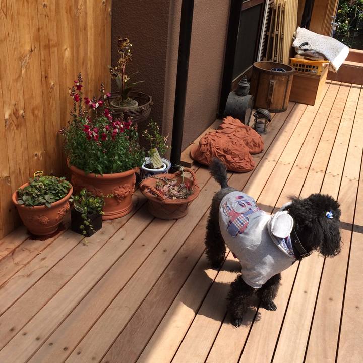 A72bb496 d782 4388 8d6e b318cb91a3a4