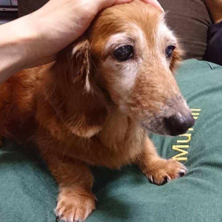 A72c2a9e 31c3 402c 89fc 3249619347f3