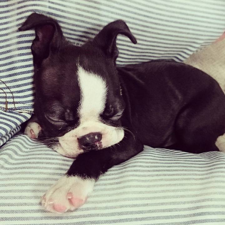 A72c64fe 0ffe 49a7 9a11 e06ba704ed88