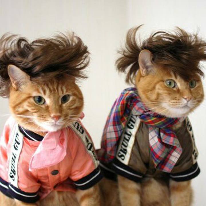 A72c8fdf e90c 4080 9fa8 0c9213bf09dc