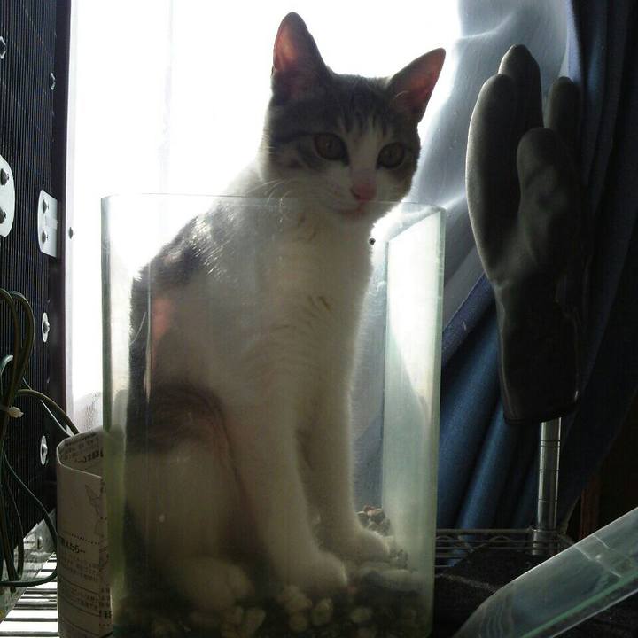 A72d016d a32a 4edf bc45 eb3e1444a7d2