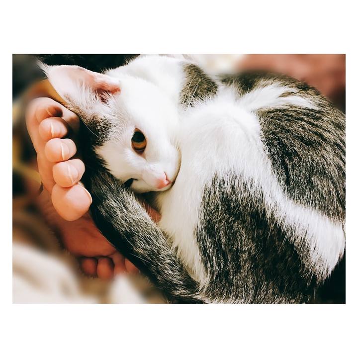 A72d4e33 a763 4aac 8818 5751521aa01e