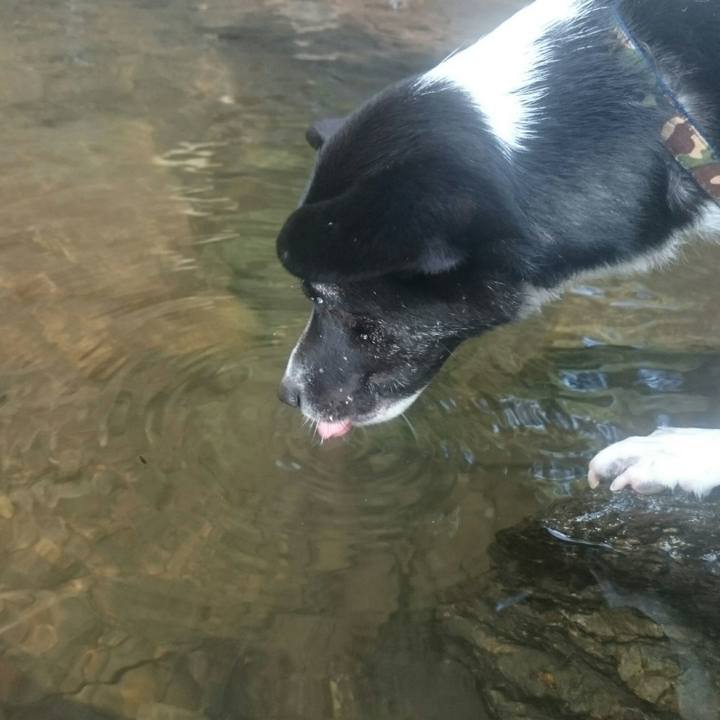 A72d6b6b abb4 422c b2a4 a16cbf648d2a