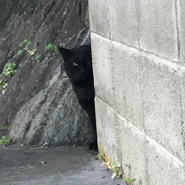 A72de4a5 c8e4 478d 8fbe 2c826e94757b