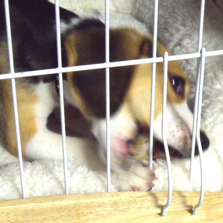 A72e07d3 cddd 4922 963d 7b0b497d1939