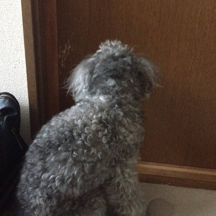 A72e0cb3 8aa5 4f57 8942 6ad51998503b