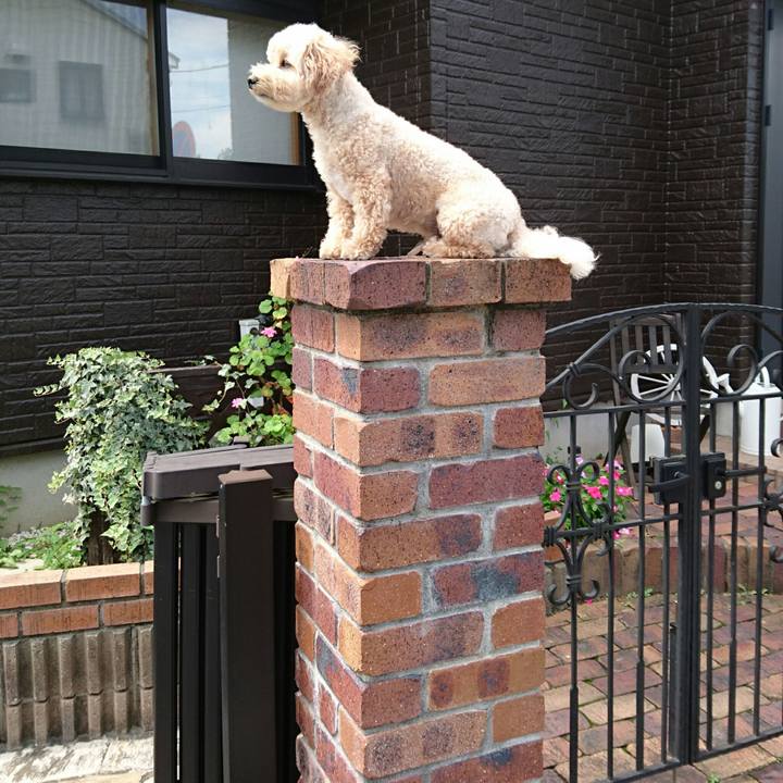 A72f2847 840f 4096 a354 892a91e8bba8