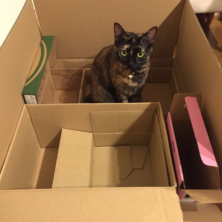 A73060cc f804 4b61 988b cbe6ffb88214