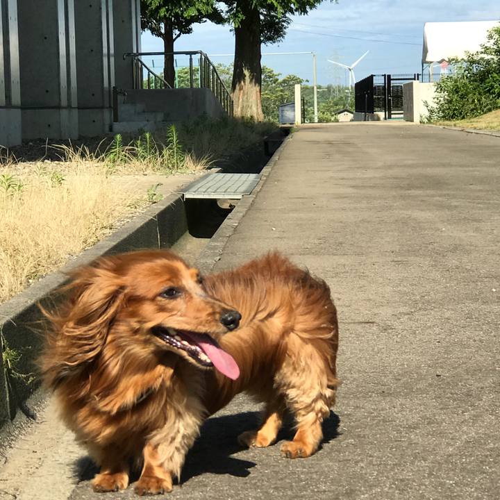 A7308a98 77e1 4e9a b7af 166951b9ae2f