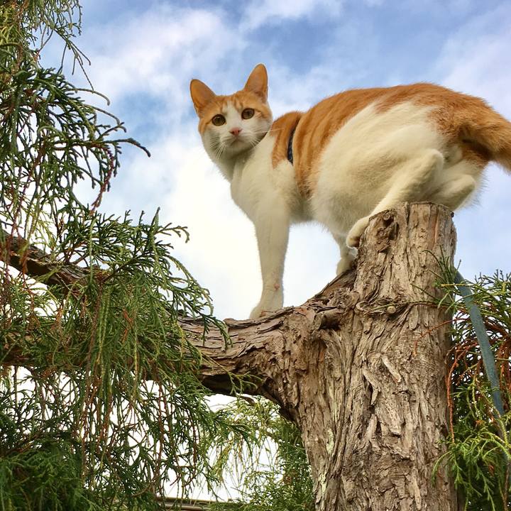 A731b49b 7bed 4a1d 9be4 69880ce656d9