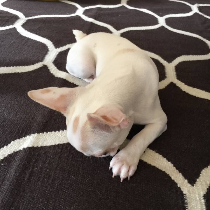 A731e7b1 d2e7 47da aa82 31664573f0d1