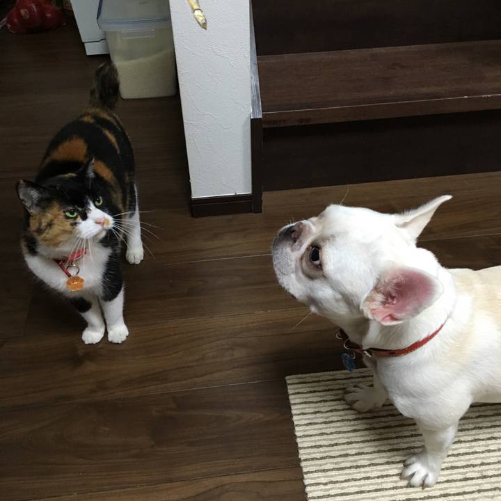 A73215a1 c945 4964 b366 37a24609ac34