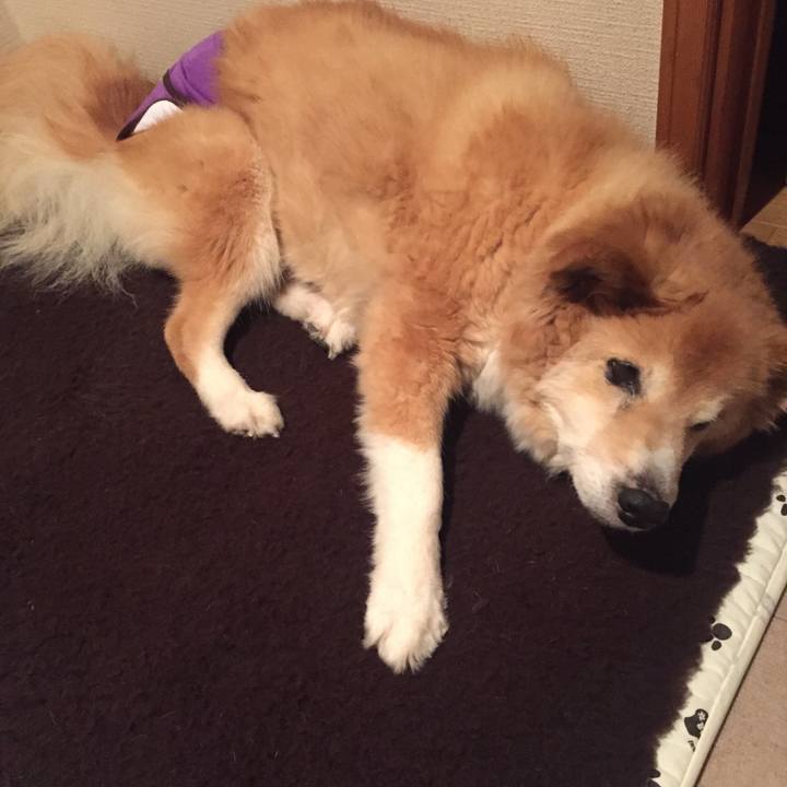 A7328807 359a 4304 bc59 5b81d7ce052f