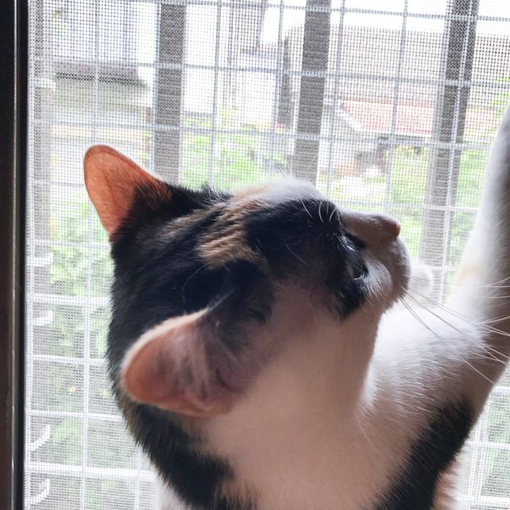 A73322f2 3911 4d96 9e9f d7061553b3b2