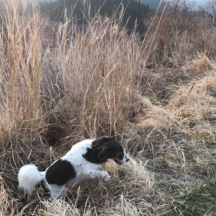 A734114b 6f55 4566 baf9 b8ed58f76df7