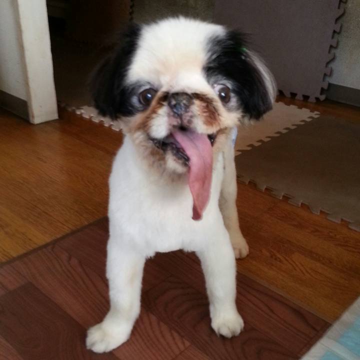 A73506d3 0698 460e 8f73 b5c2bfbb0875