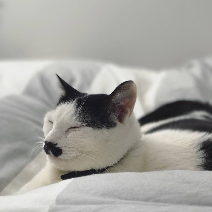 A7357fbf 2a0a 4919 aaaa 8063dc95fa89