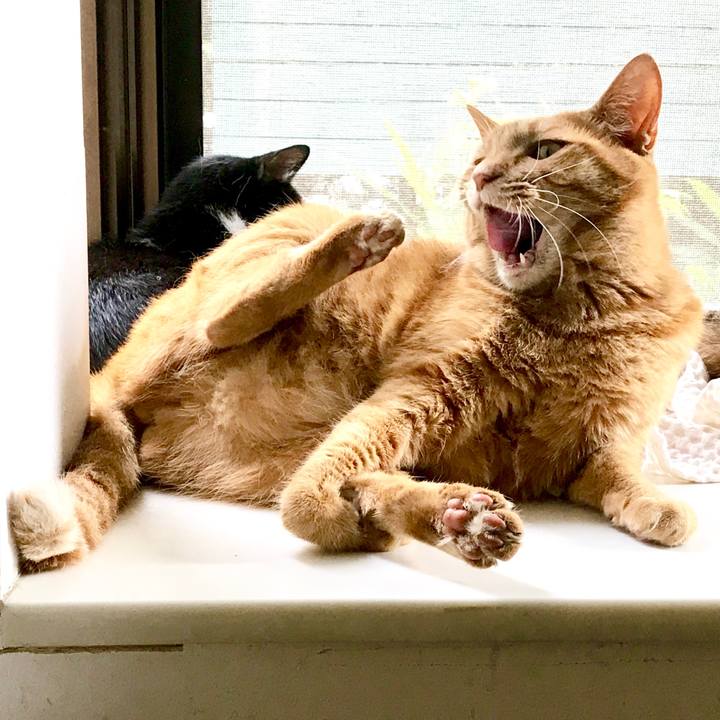 A7360fef bf87 4506 b861 17ee952aa3e5