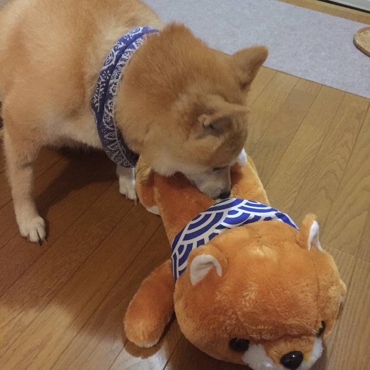 A7361077 fa9d 4f92 8969 f8a9b9e129a5