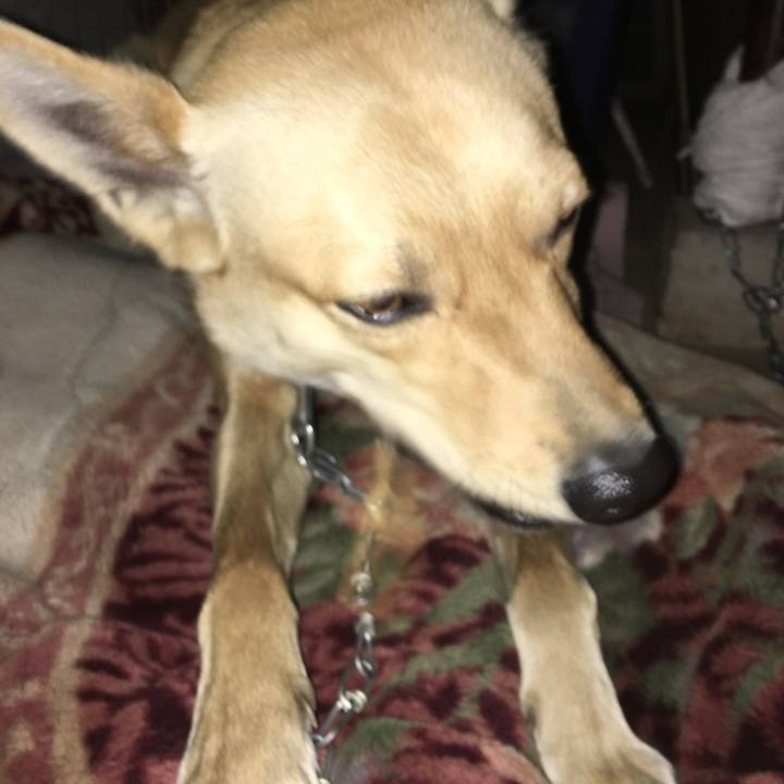 A7364a1b 3f5f 4aeb acc9 6b2167d34036