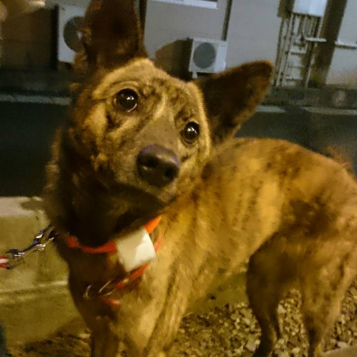 A736b157 4c44 438c b774 a41e1d6cc9e1