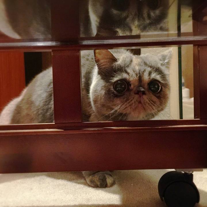 A7386e71 89e2 4365 9181 862e10379af8