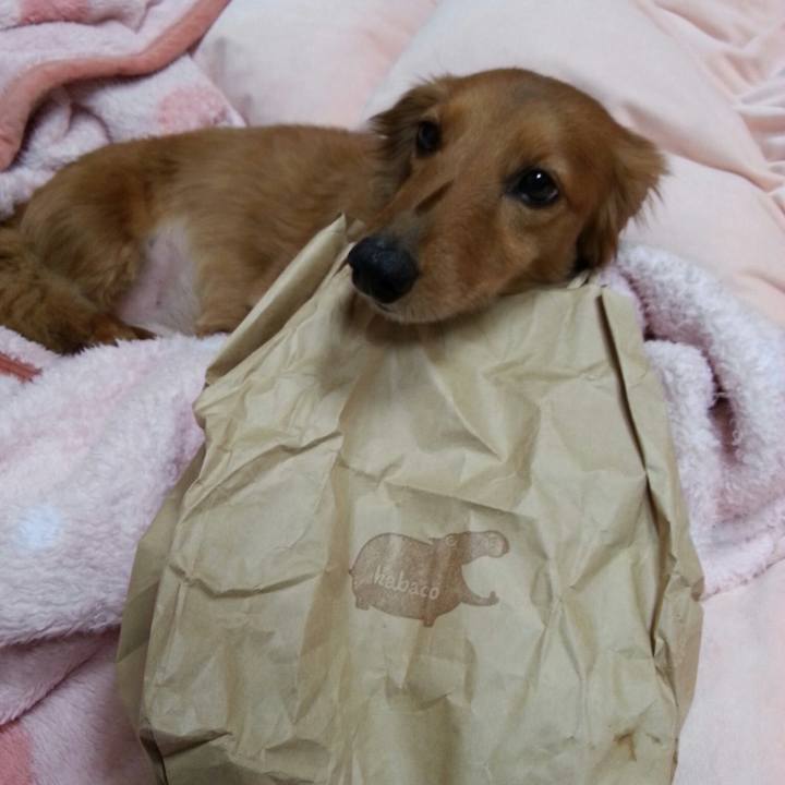 A738dbc4 634a 4708 9bbb 1d68febeba9a