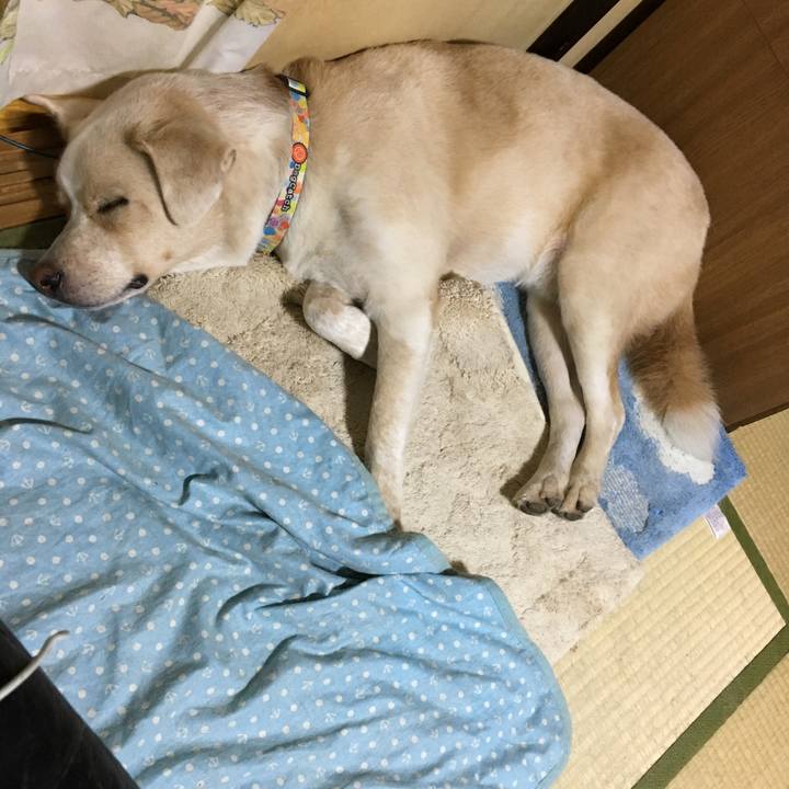 A738f1d2 e0f7 4f4d 900d e050d7bb755f