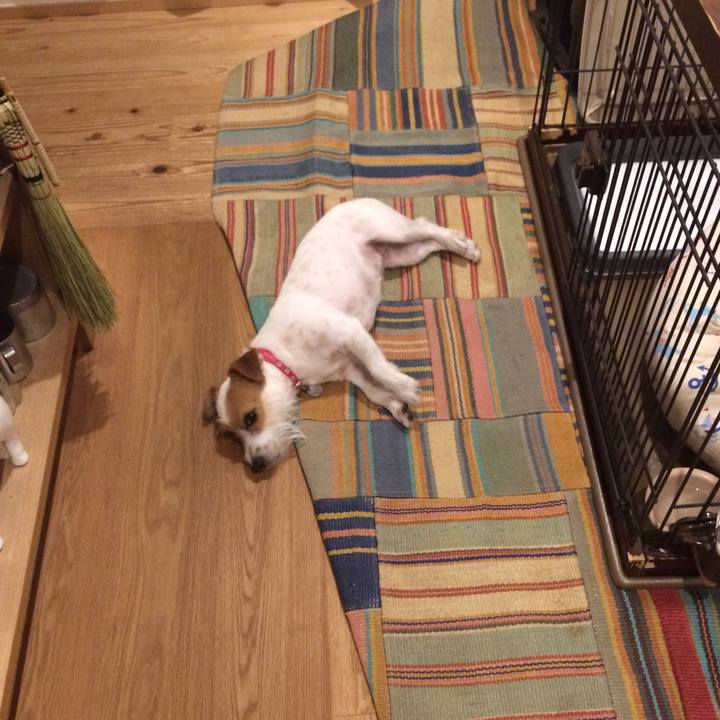 A739260a 3590 4ca4 b3c7 382d501209f4