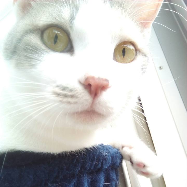 A73a4006 3094 44b2 946c ee63ce6a39d7