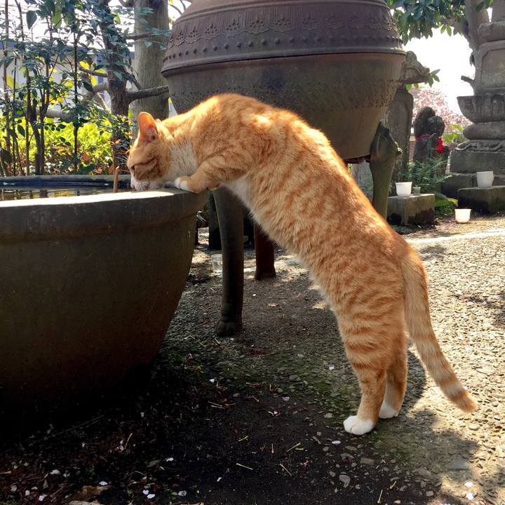 A73a6ce2 917b 4cb8 8bfc 5da3cc6aef3a