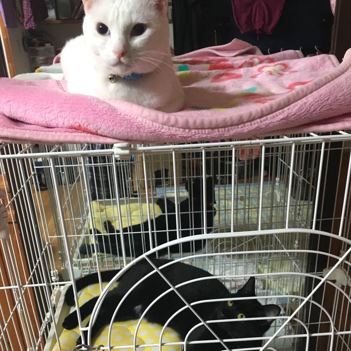 A73b3c92 921e 4bb9 a518 5364ffc64552