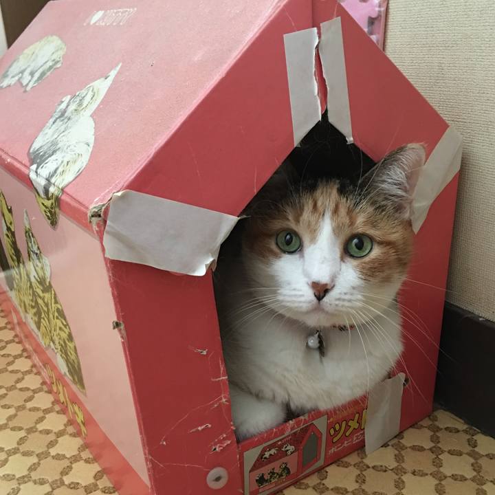 A73b424b 682c 485d b2a6 024507725520